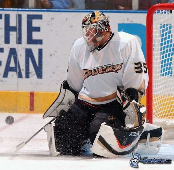  sebastien giguere 
