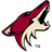 PhoenixCoyotes_48x48